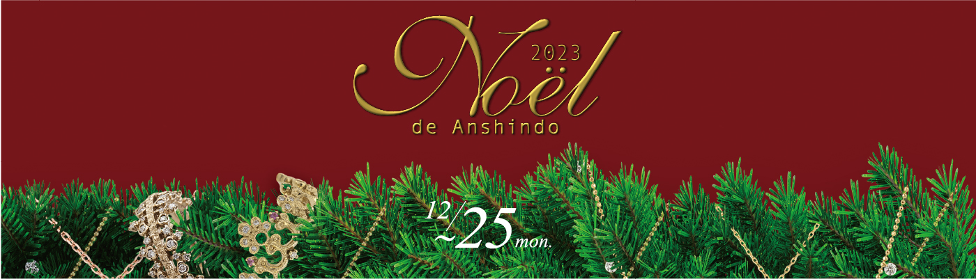 Noel de Anshindo 2023
