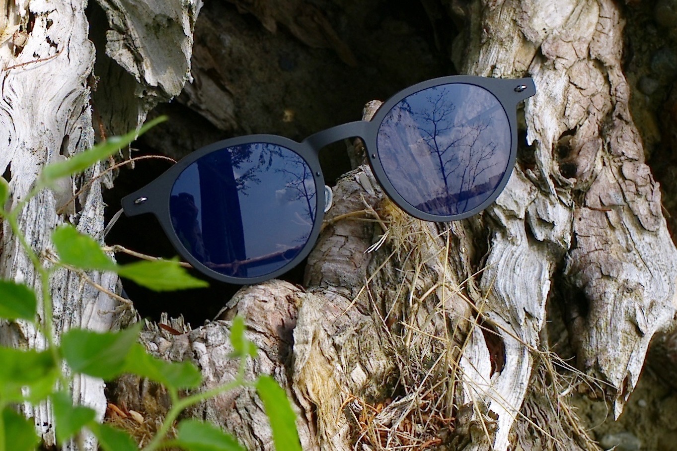 お客様のご購入品紹介【安心堂浜松店】