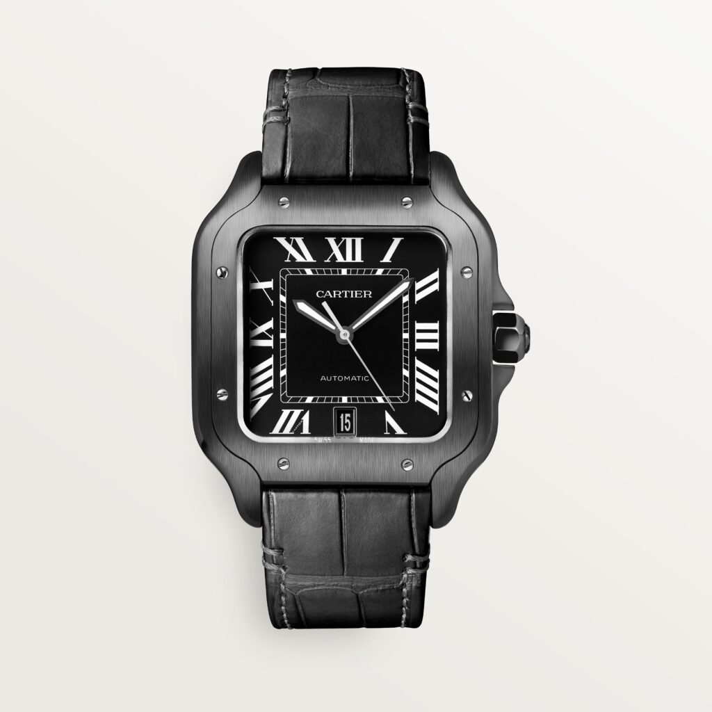 カルティエ Cartier 純正 ラバーベルト（サントスドゥカルティエ