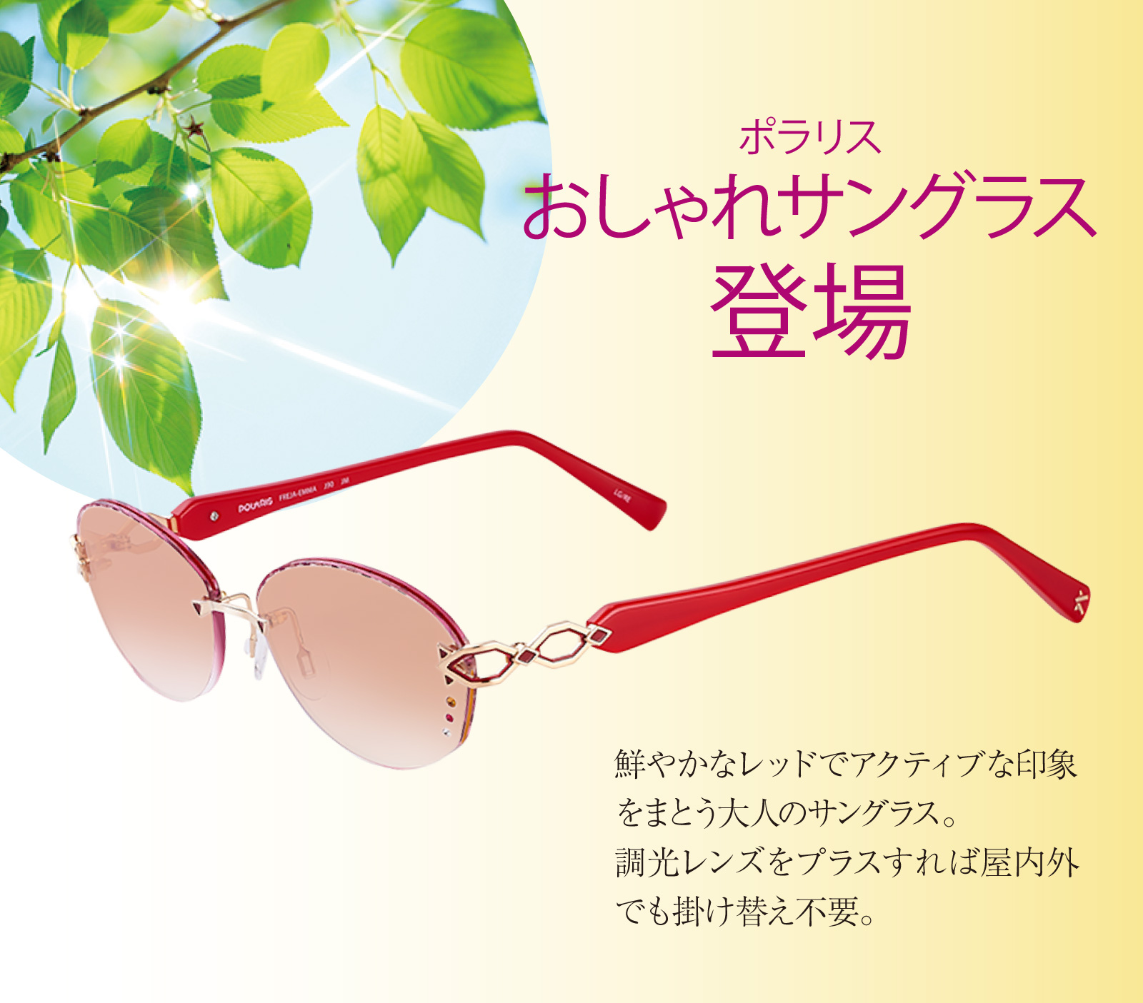 ポラリス