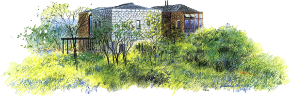 おしゃれな洋風の住宅と草原のやさしいイラスト