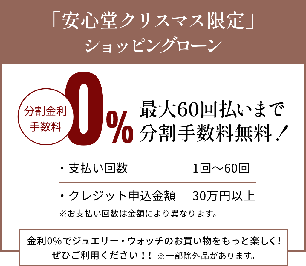 「安心堂クリスマス限定」ショッピングローン