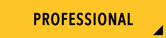 PROFESSIONAL