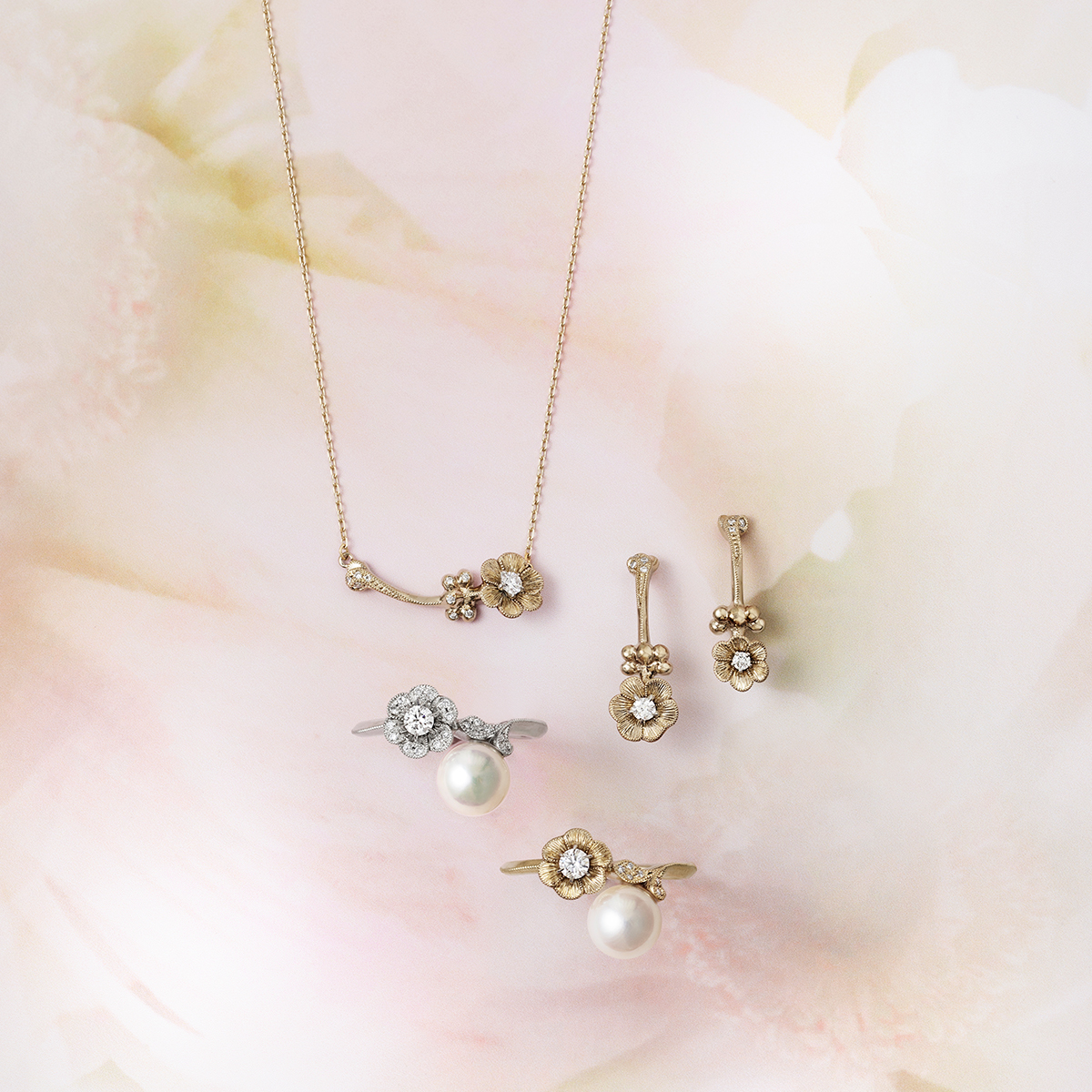 アネモネ “Anemone”