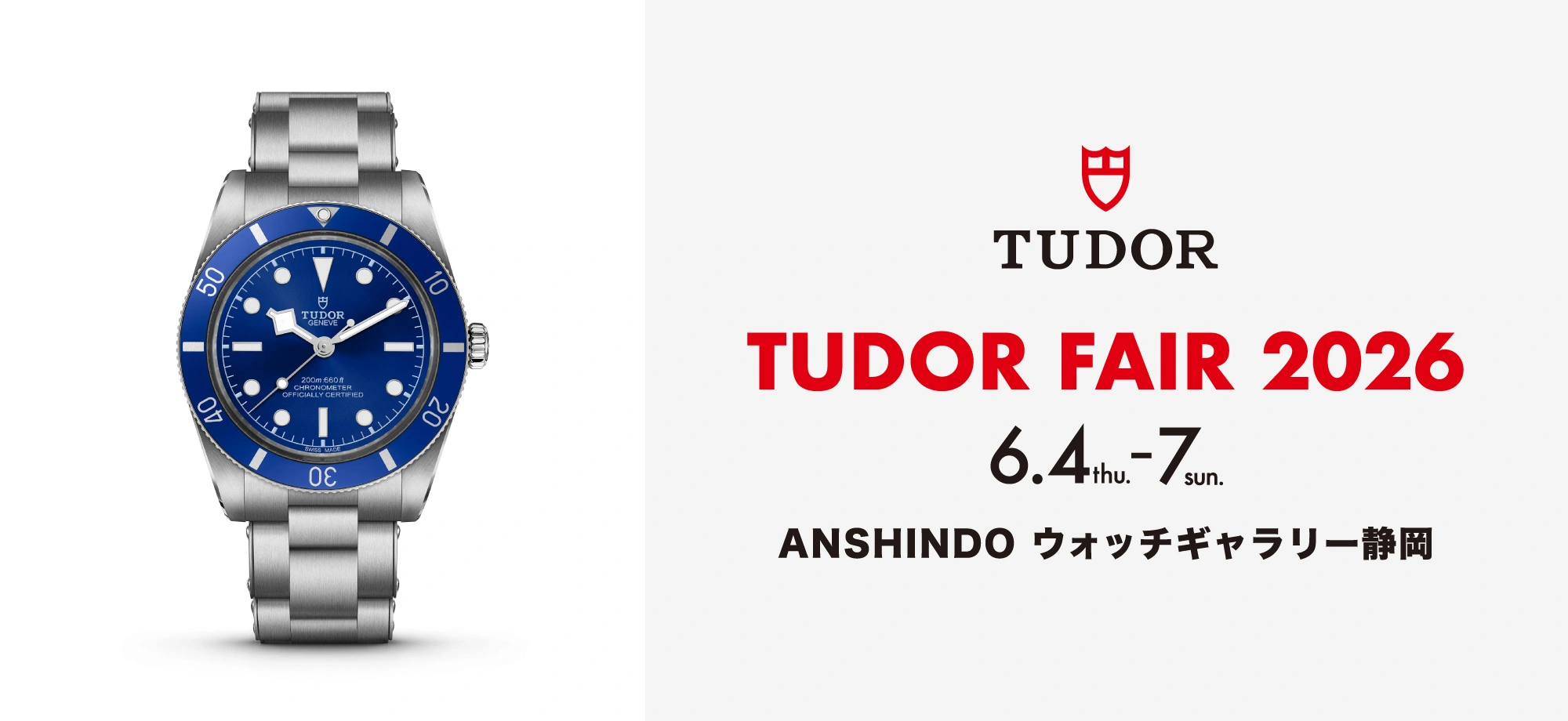 TUDOR FAIR