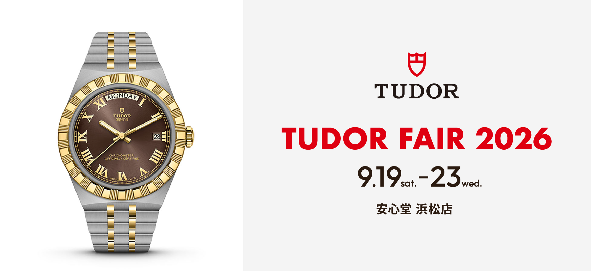 TUDOR FAIR