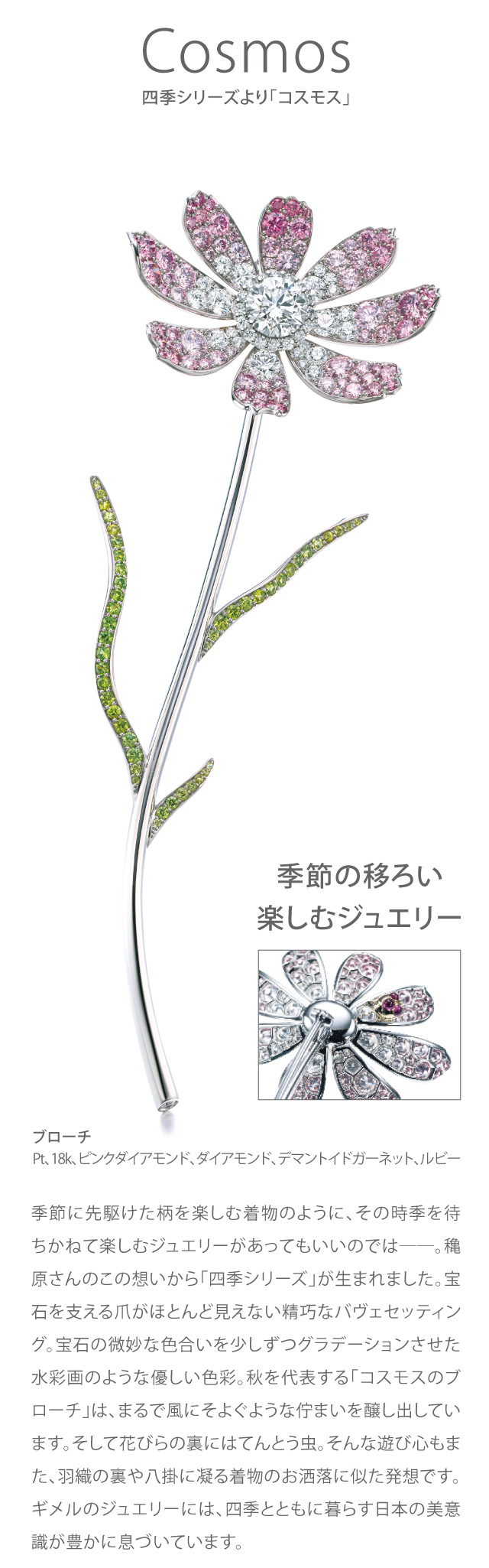 コスモス