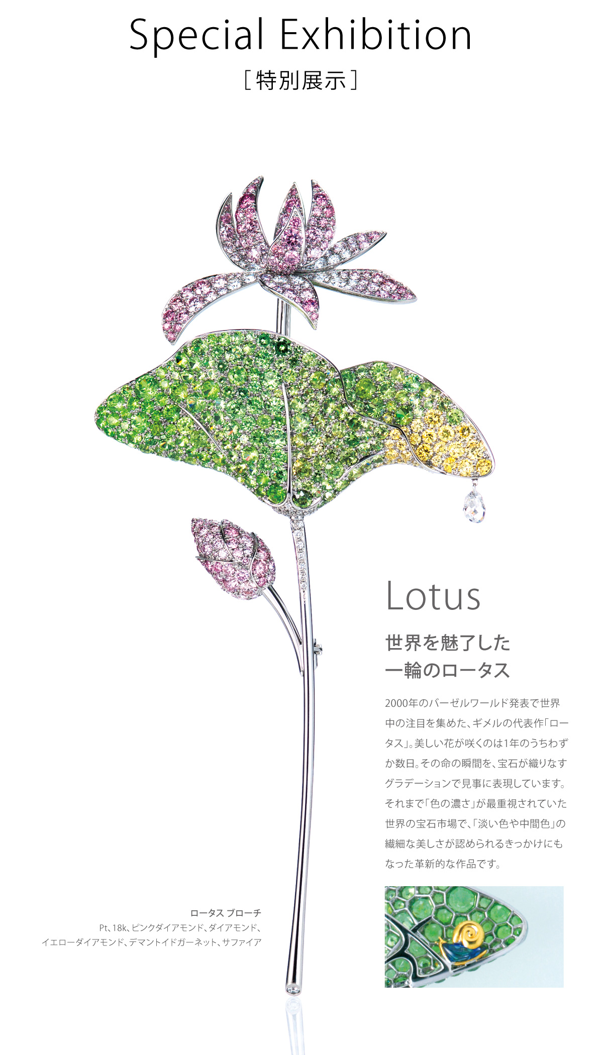 ロータス