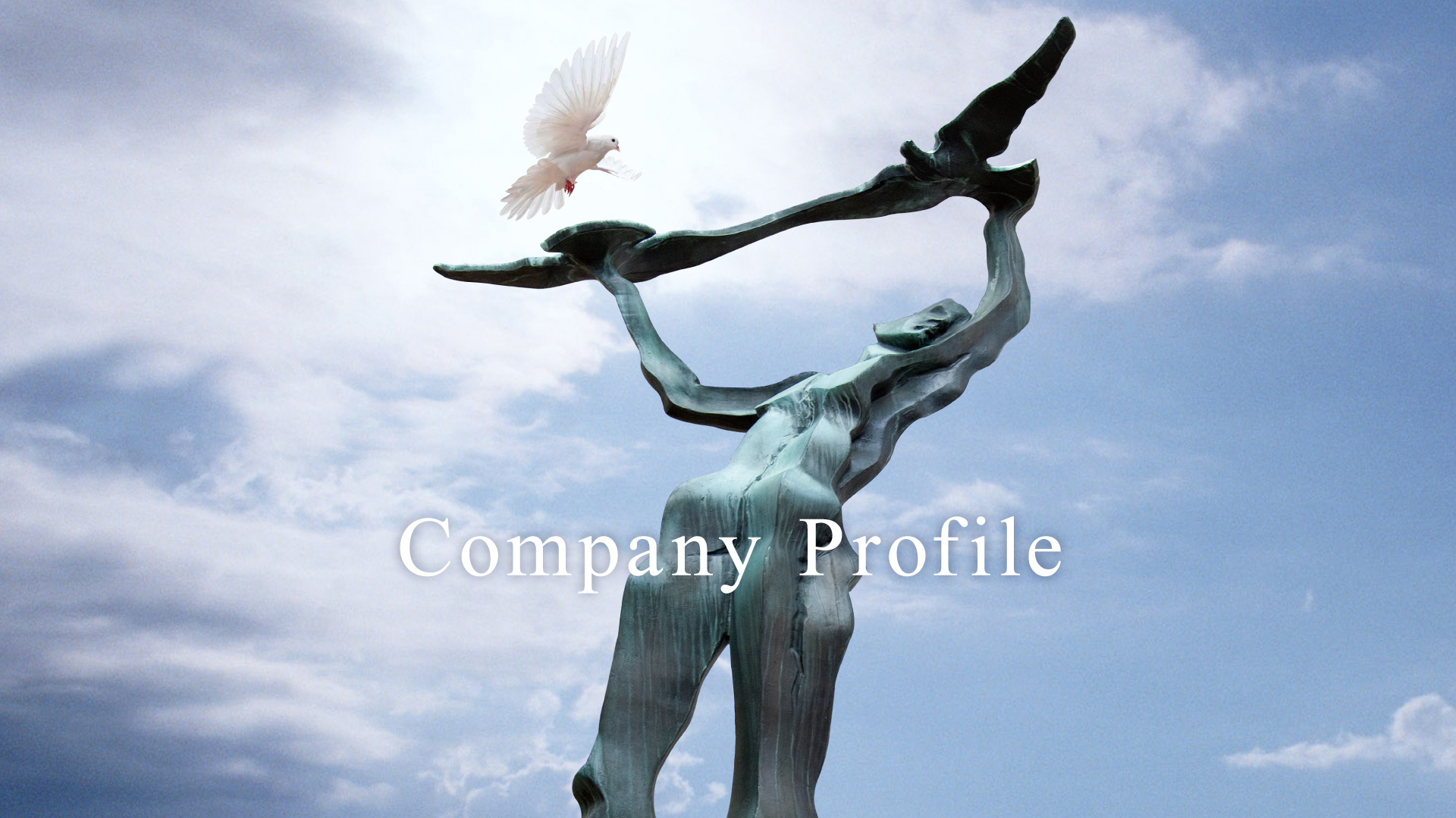 Company Profile